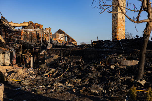 Reliable Content Restoration contractor in Christmas, FL by Meridian Smoke Damage